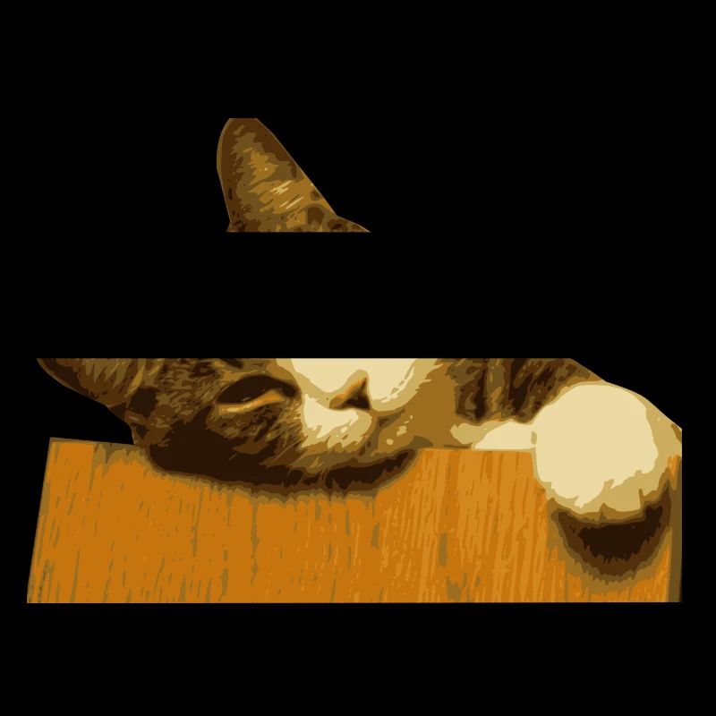 CAT COLLECTION 2017