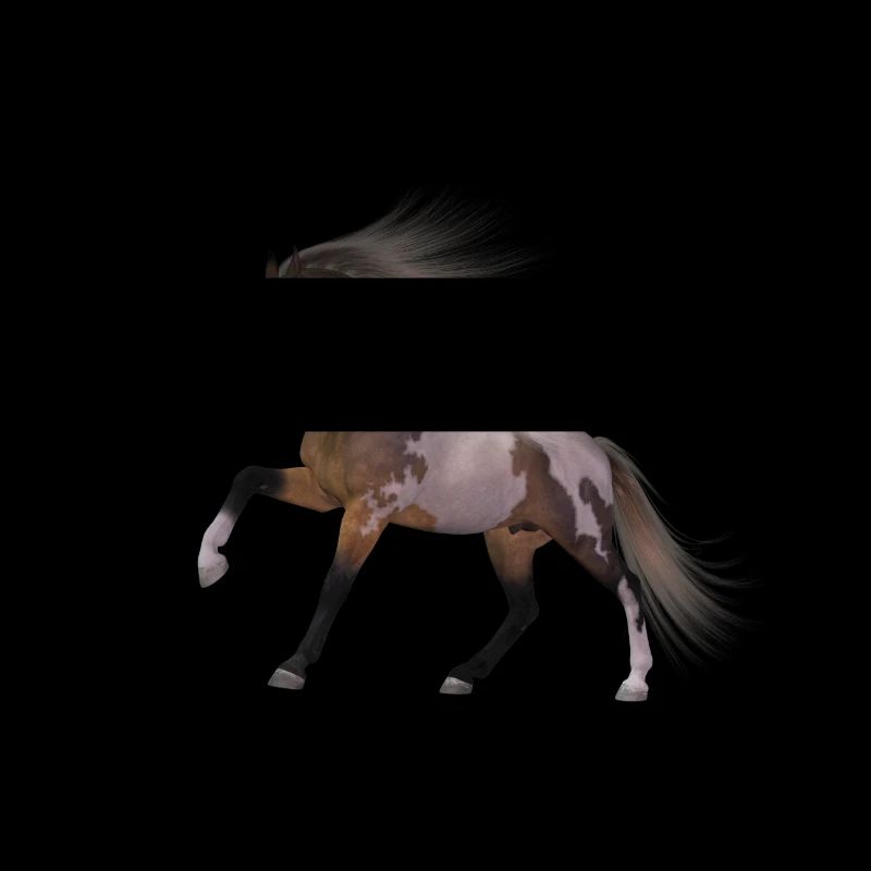 Pferd Geschenk Geschenkidee