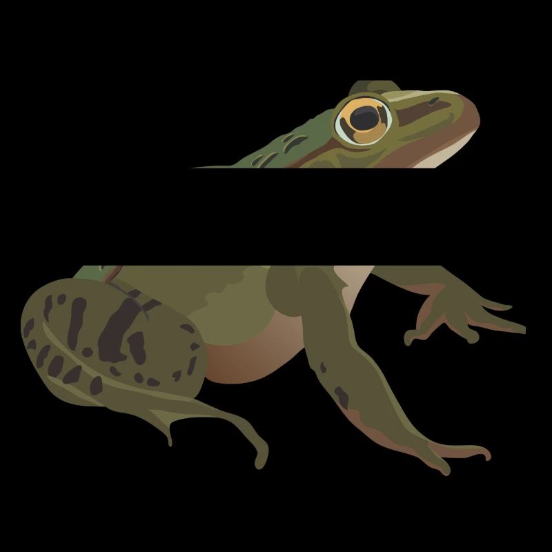 Frog mister frog toad common toad tree frog idea