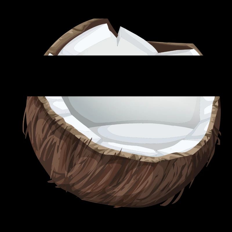 Noix de coco - Idée de cadeau tropical