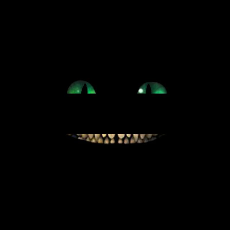 Katze