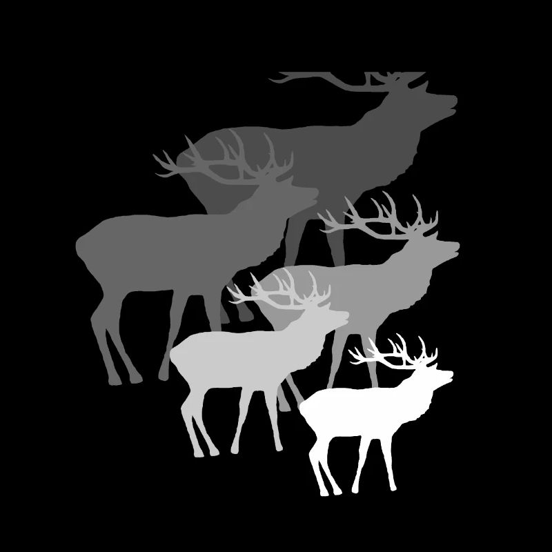 Hirsche mit Geweih, Hirsch, Rehbock, Rotwild, grau