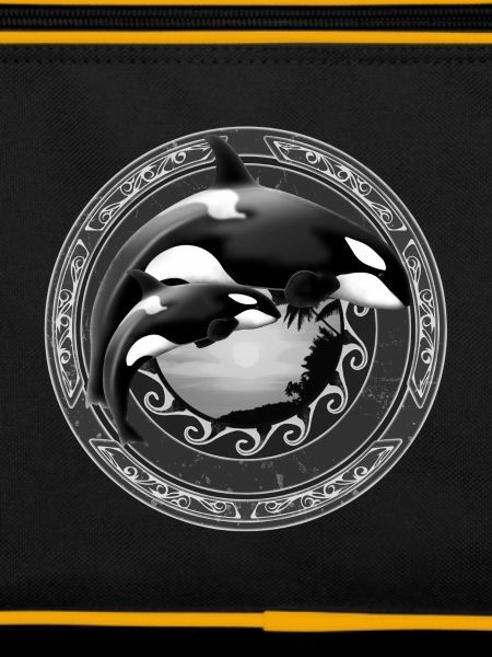 Orca killer whale