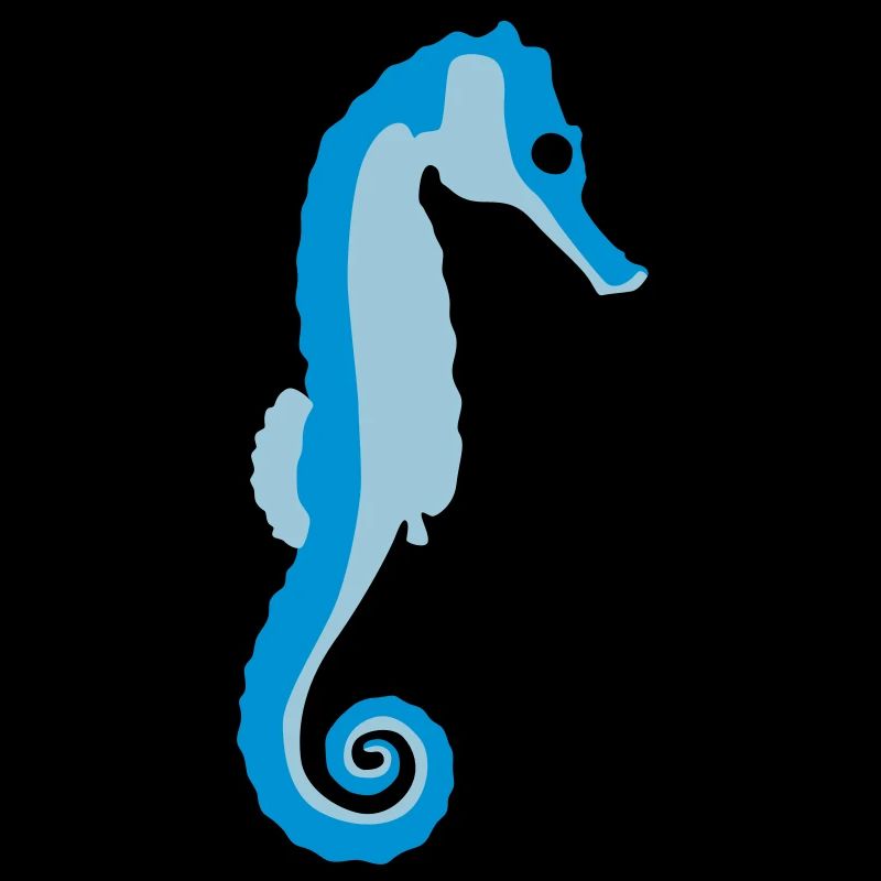 seepferdchen_082012_a_3c