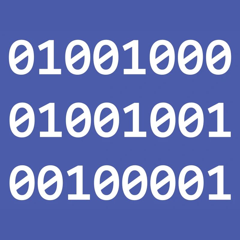 Hi Binary programmers greet each other like this