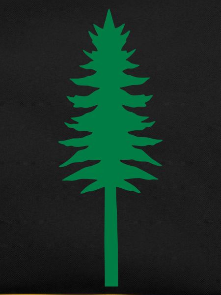 baum_5