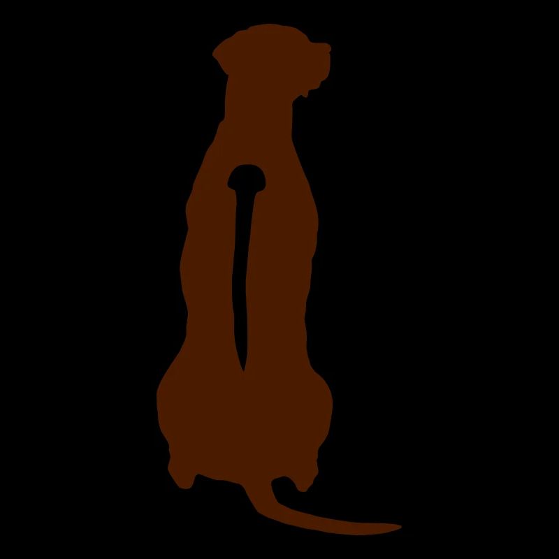 Rhodesian Ridgeback Back