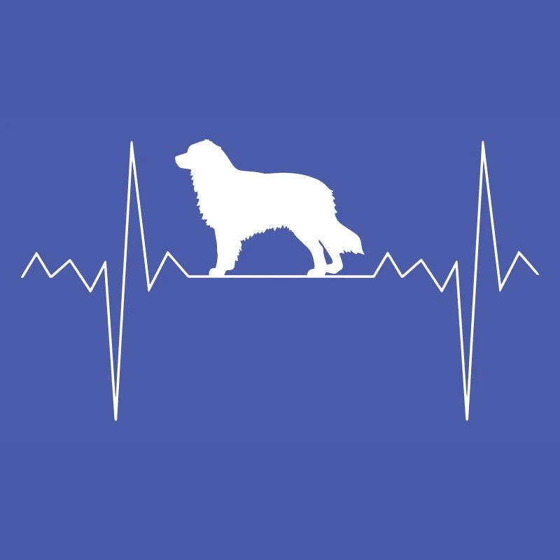 Herzschlag Herzfrequenz Australian Shepherd