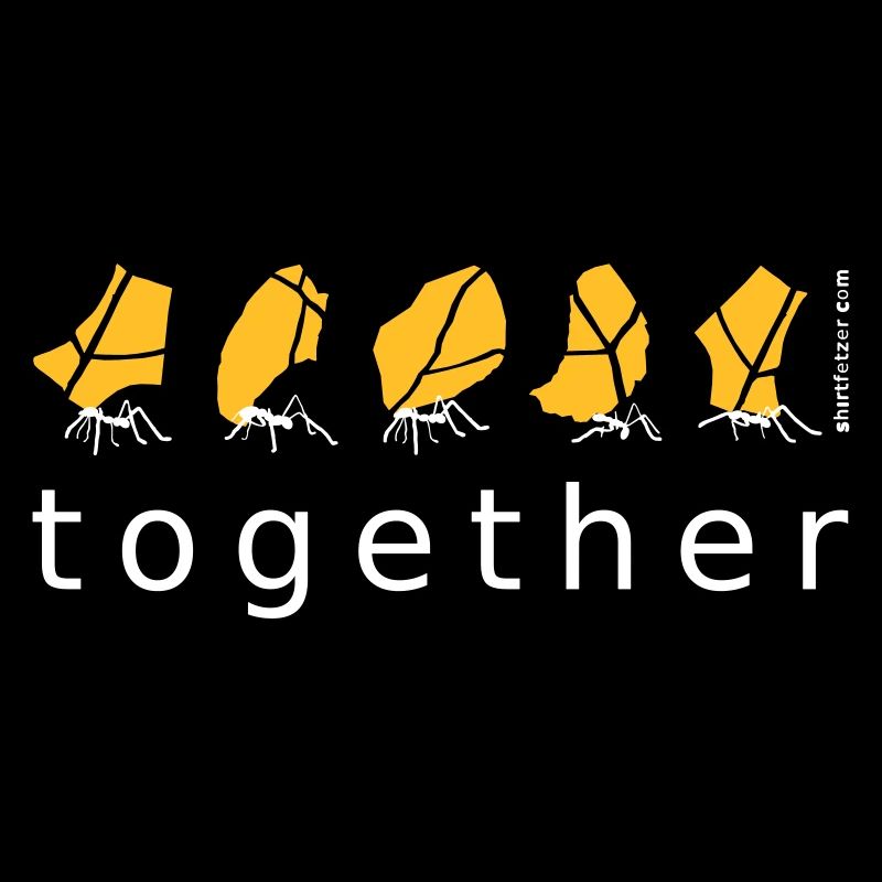 ensemble Ant Ensemble travail d’équipe social