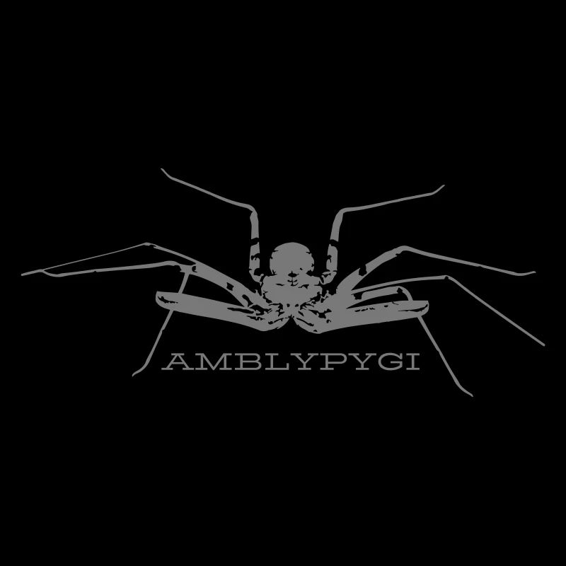 Araignée flagelle - Amblypygi