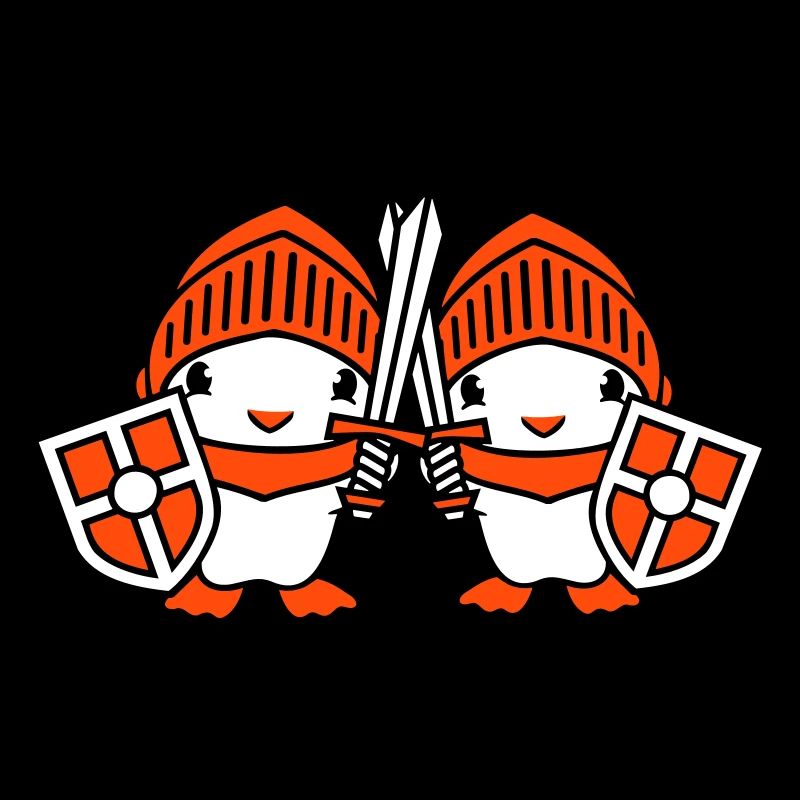 2 Ducks Knight Armor Épée Bouclier Casque Combattant