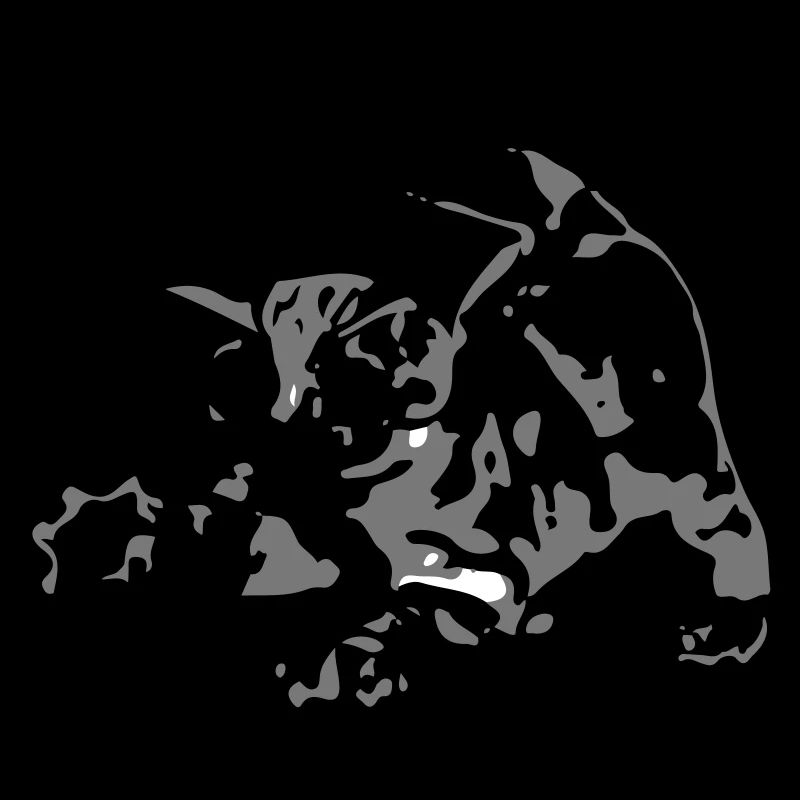 Katze
