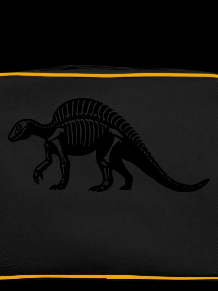 Dinosaur Fossil