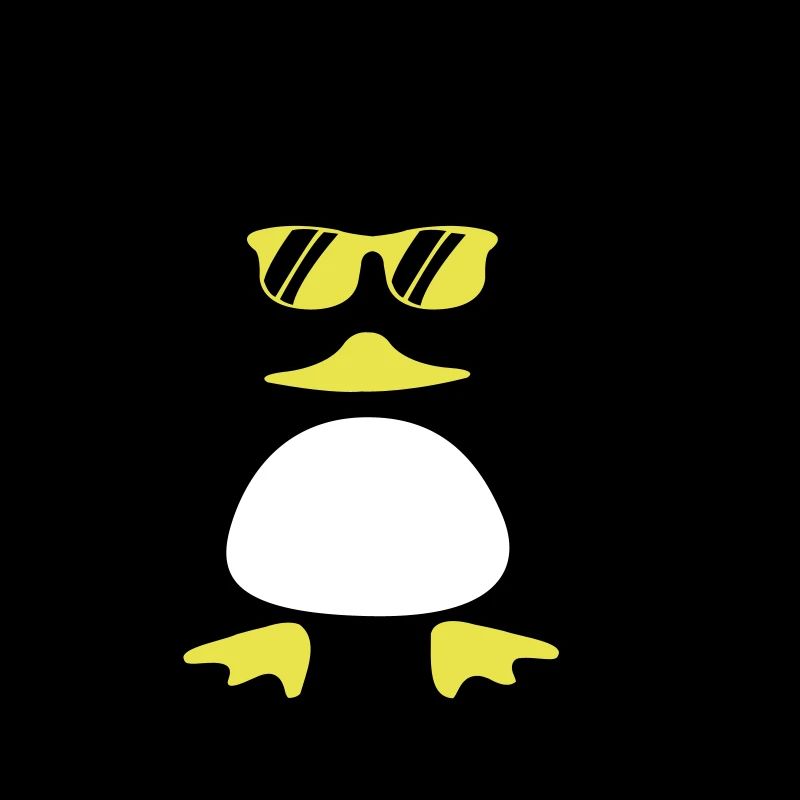 Canard de plage