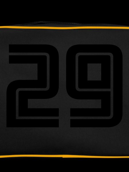 29