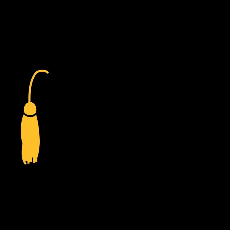 Doktorhut