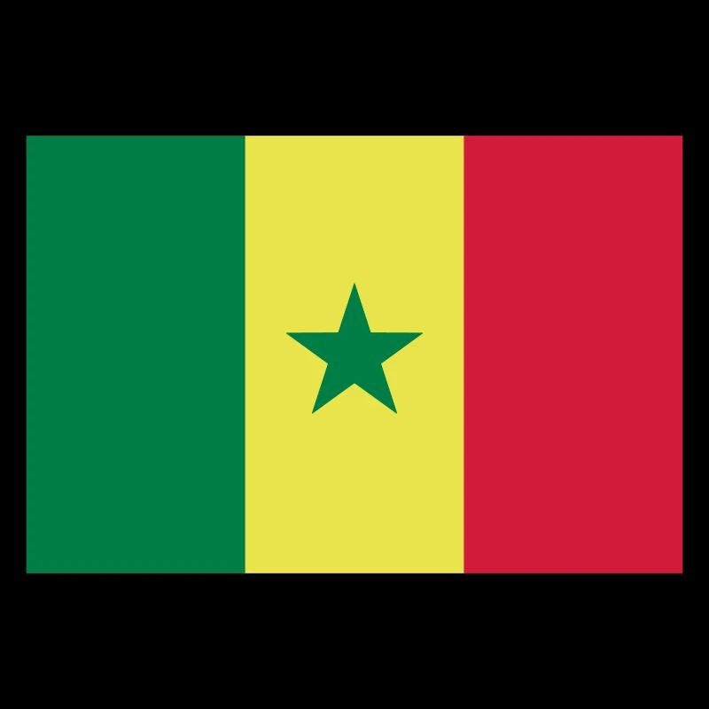 Drapeau Sénégal / Flagge von Senegal