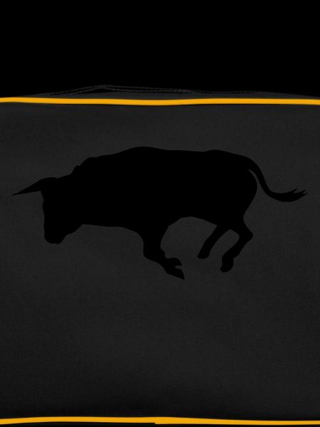 stier