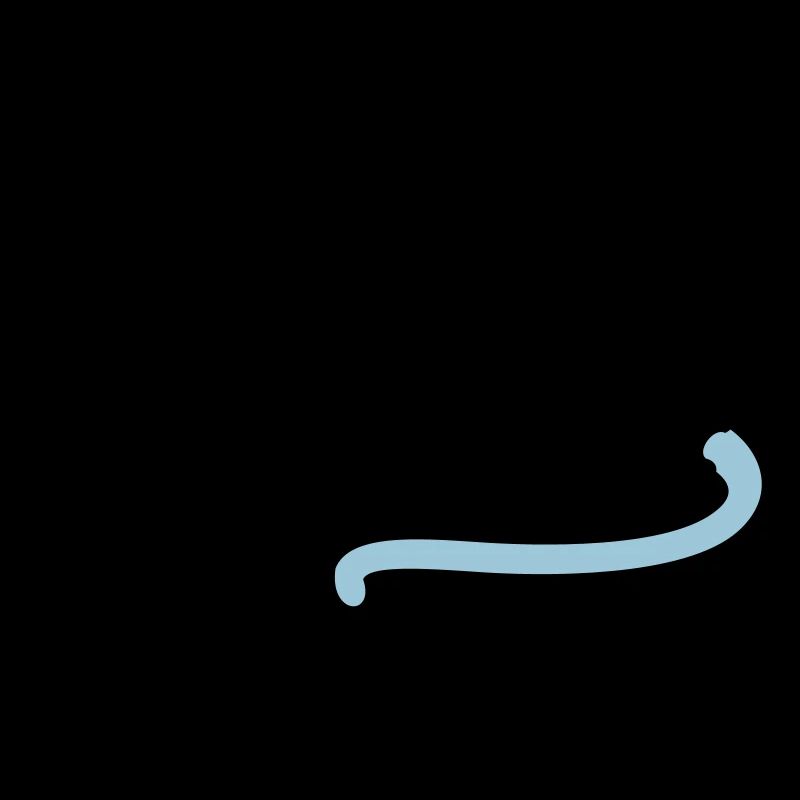 raton / rat (2c)