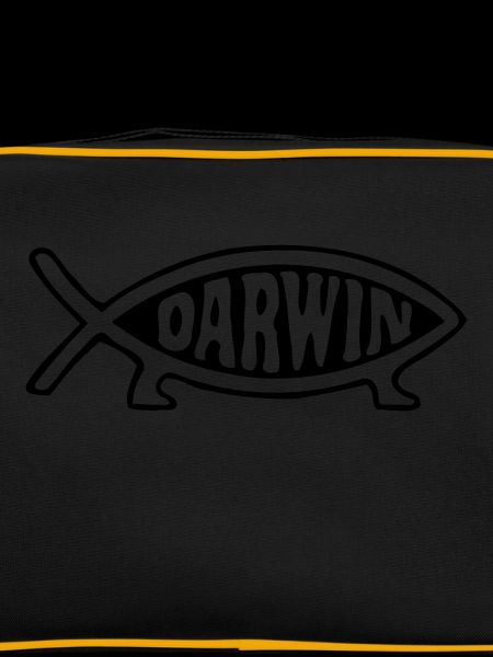 Darwin fish