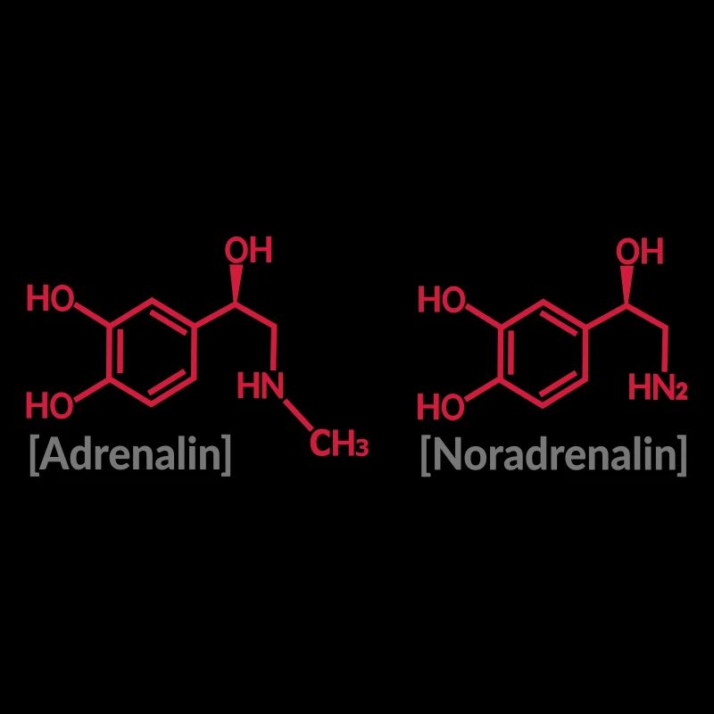 Katecholamine
