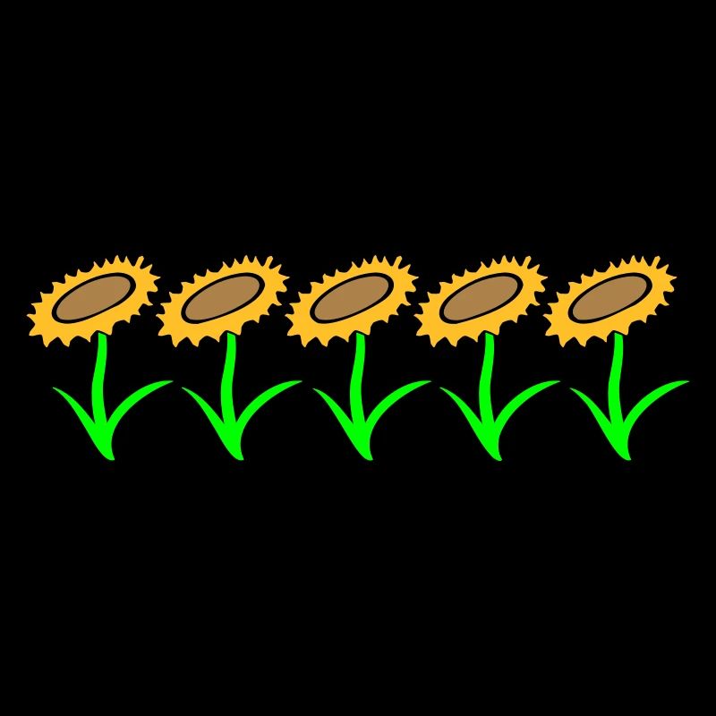 Many Small Sunflowers Sun Five Flowers Row