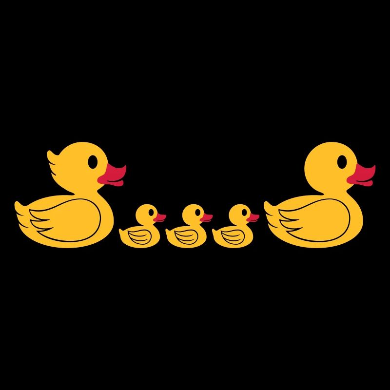 Famille de canards 2