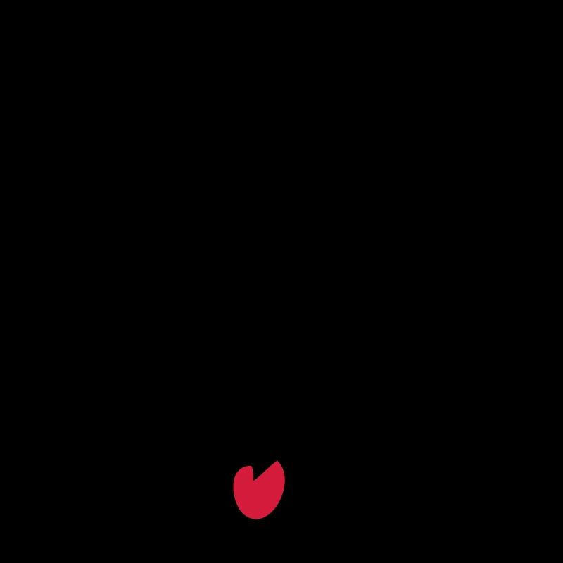 smiley dingue1