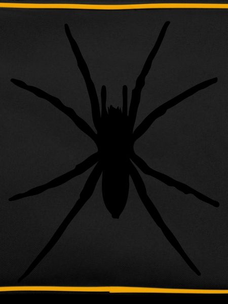spider silhouette