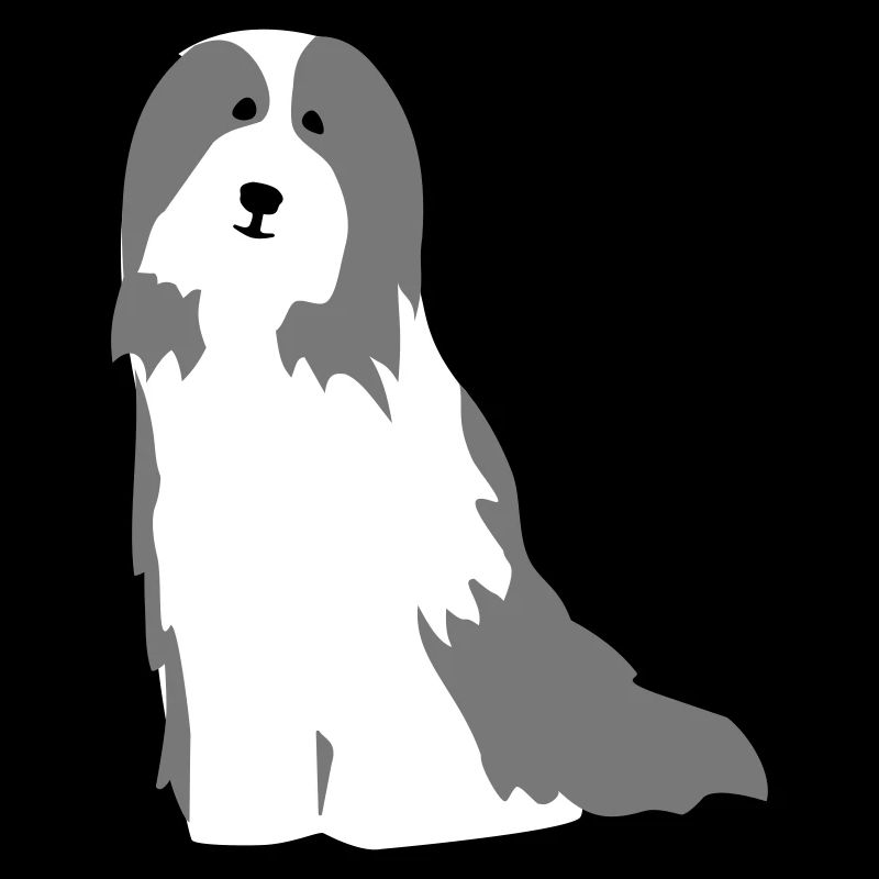Bearded Collie