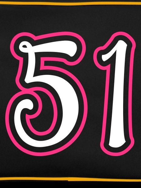 51 Number number