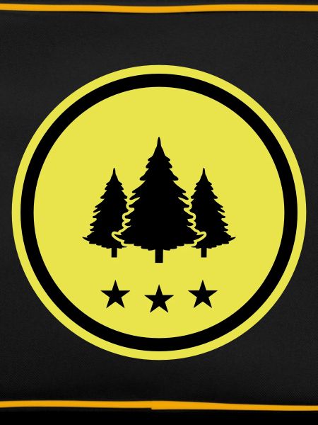 Tree Fir Forest