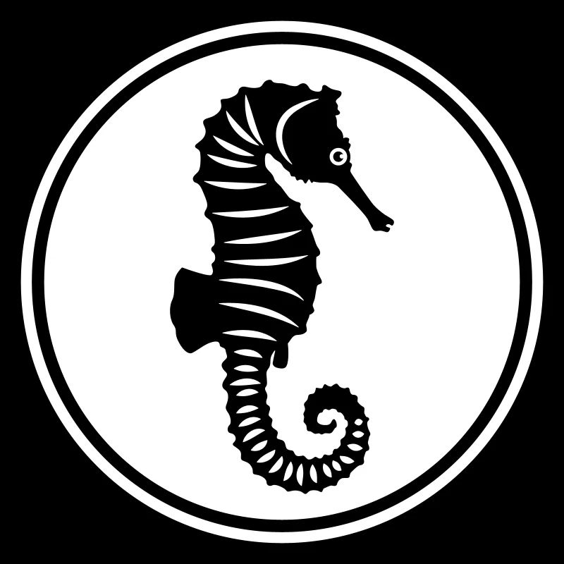 Hippocampe