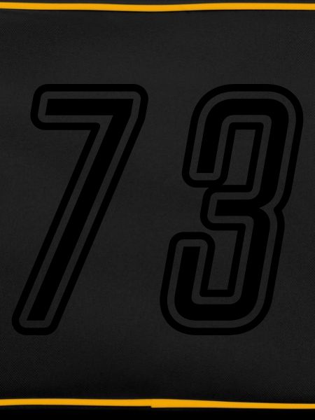 73 Numéro de numéro