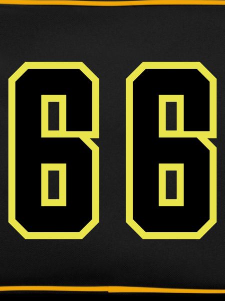 66 Number Leotard