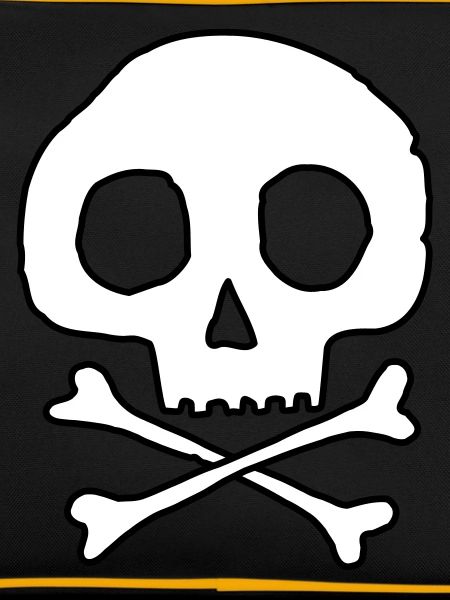 Skull and bones