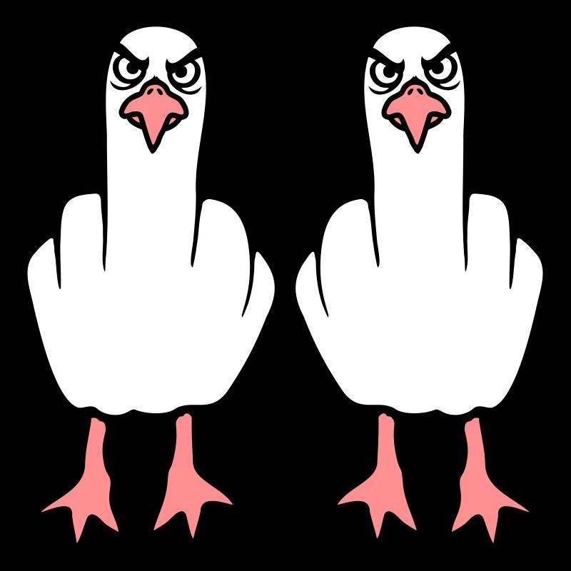 2 Möwen Mittelfinger Beleidigung Stinkefinger Team