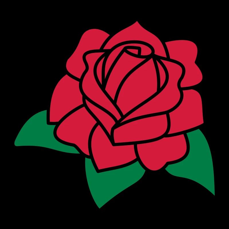 red rose
