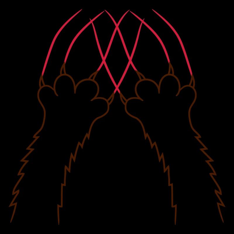 Chats, Griffes, Pattes, Pattes, Griffes, Griffures, Rayures