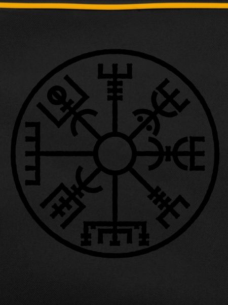 Vegvisir
