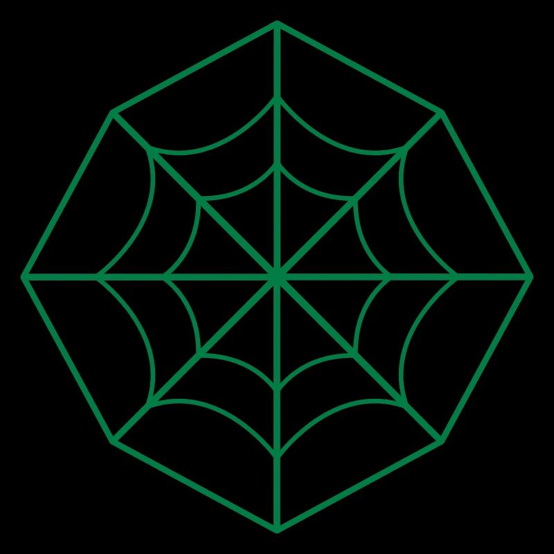 irregular spider web