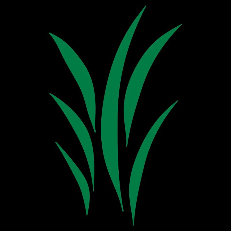 lawn