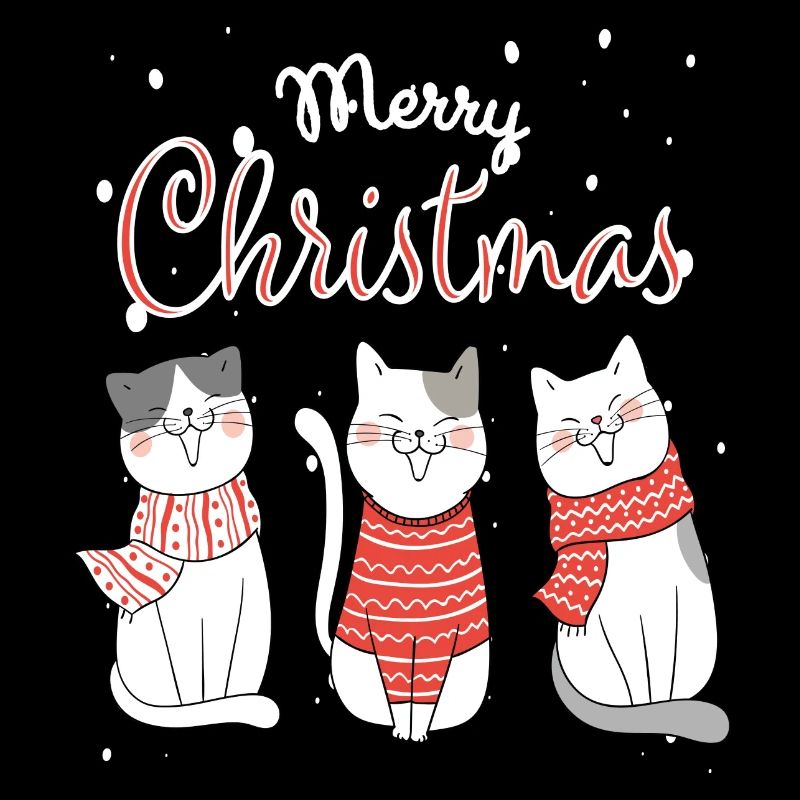 Chats, Chat de Noël, Chat de Noël, Chats