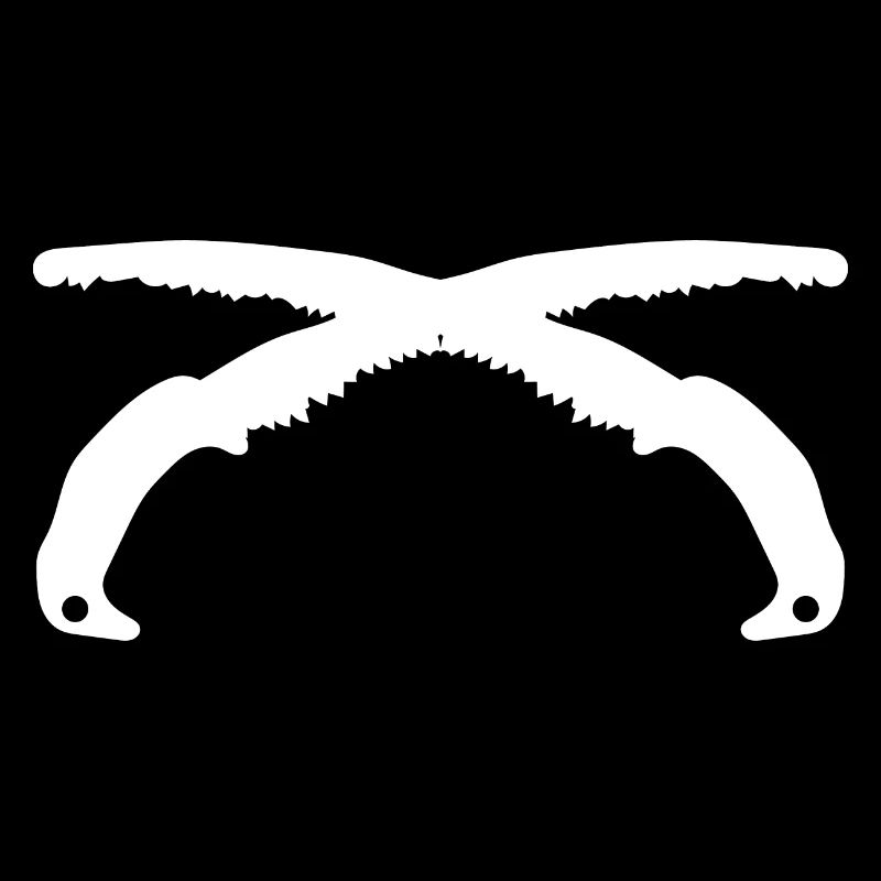 Carpenter Carpenter Zimmere Artisan Saws