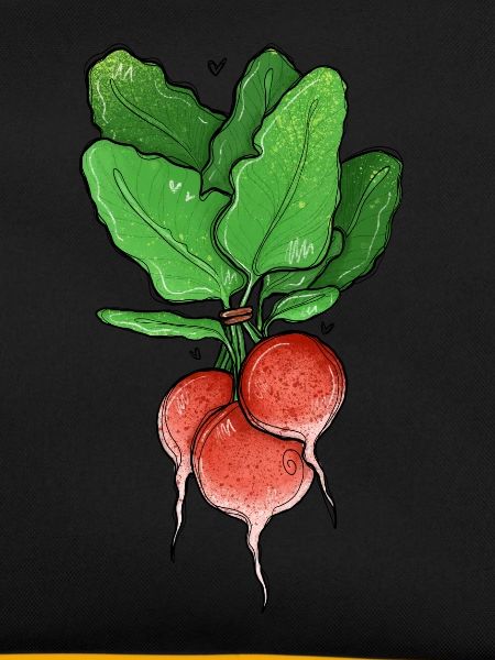Radieschen Illustration
