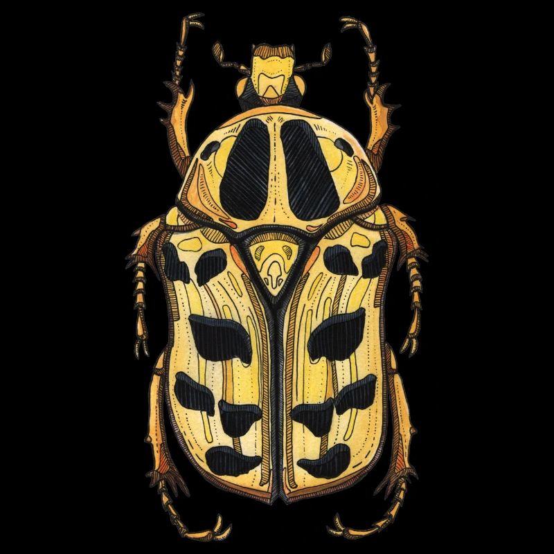 Big Beetle Stag - cerf géant