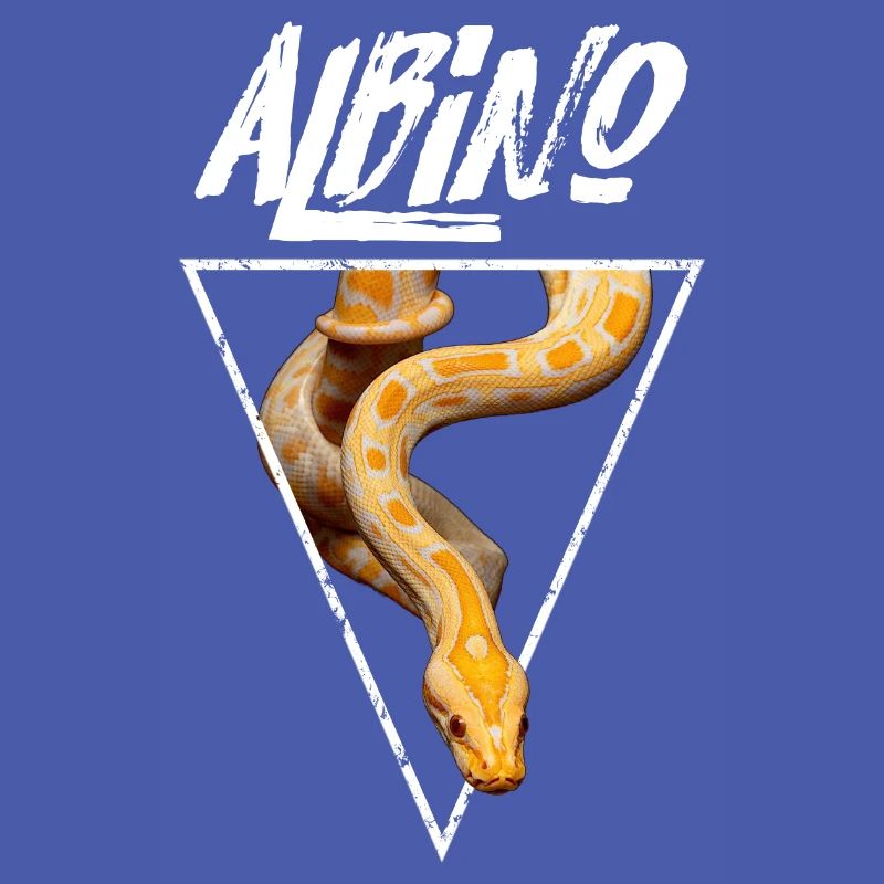 Propriétaire de serpent Python birman