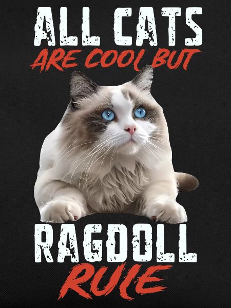 Ragdoll