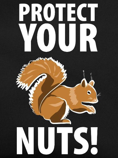 Squirrel Eichhörnchen Dieb Tierpfleger
