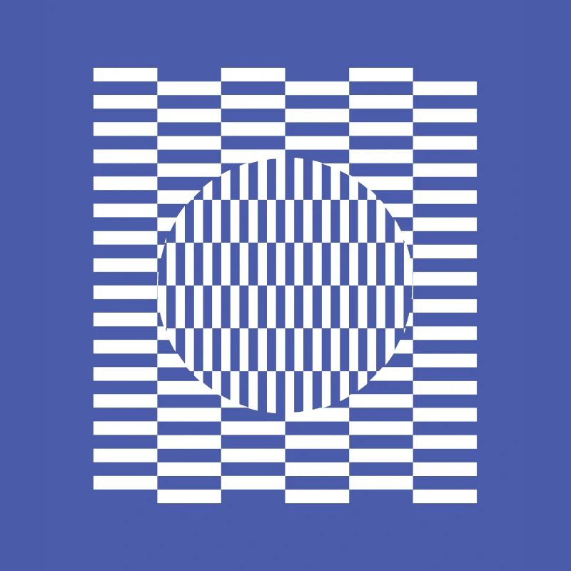 Visual grid perception illusion imagination